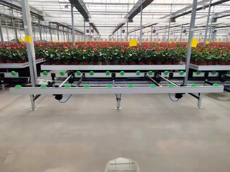 Heavy-duty Ebb and Flow rolling benches with Smart-AI integration for automated greenhouse irrigation and space optimization.
